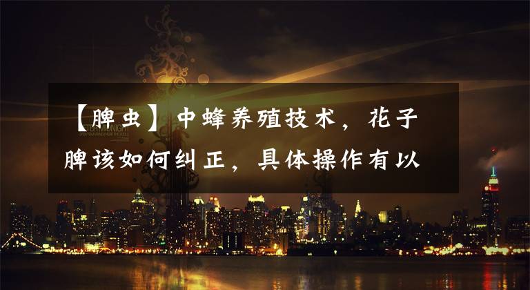 【脾虫】中蜂养殖技术，花子脾该如何纠正，具体操作有以下4种方法