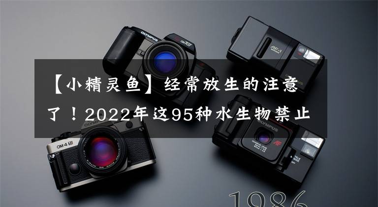 【小精灵鱼】经常放生的注意了！2022年这95种水生物禁止放流，有很多常见物种
