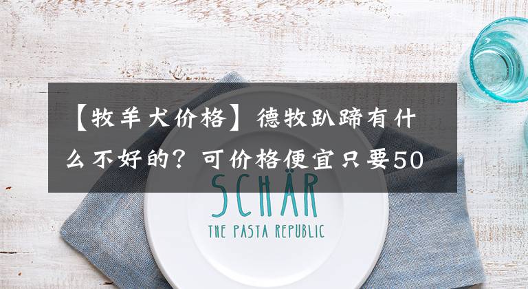 【牧羊犬价格】德牧趴蹄有什么不好的？可价格便宜只要500块，换你拿不拿