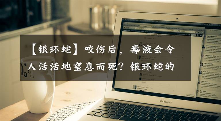 【银环蛇】咬伤后，毒液会令人活活地窒息而死？银环蛇的危险性有多大？