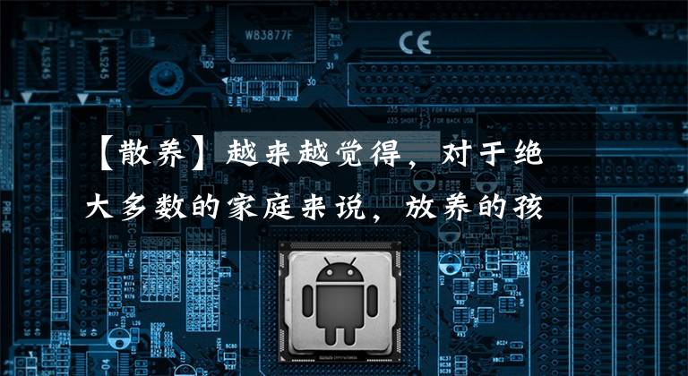 【散养】越来越觉得，对于绝大多数的家庭来说，放养的孩子更优秀