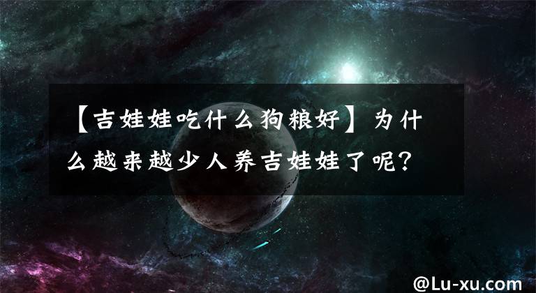 【吉娃娃吃什么狗粮好】为什么越来越少人养吉娃娃了呢？吉娃娃的优缺点大分析