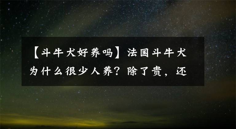 【斗牛犬好养吗】法国斗牛犬为什么很少人养？除了贵，还有这几个原因