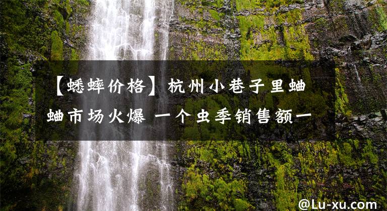 【蟋蟀价格】杭州小巷子里蛐蛐市场火爆 一个虫季销售额一亿