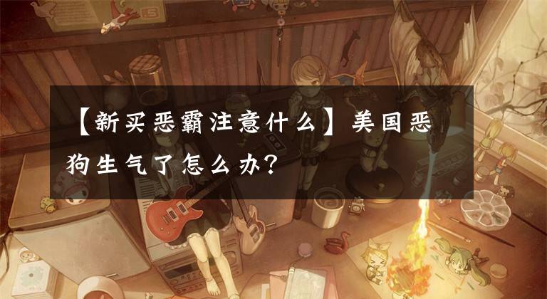 【新买恶霸注意什么】美国恶狗生气了怎么办？