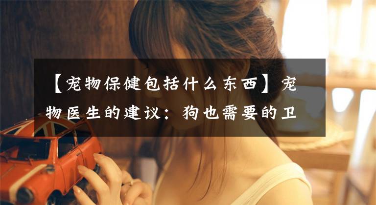 【宠物保健包括什么东西】宠物医生的建议：狗也需要的卫生保健和疫苗接种。
