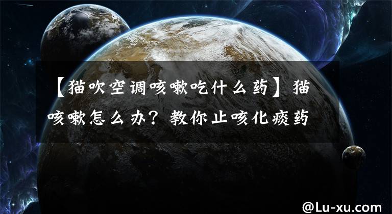 【猫吹空调咳嗽吃什么药】猫咳嗽怎么办？教你止咳化痰药。