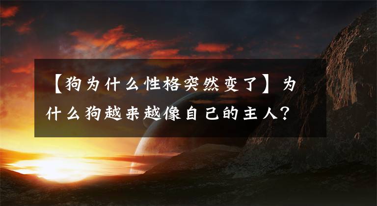 【狗为什么性格突然变了】为什么狗越来越像自己的主人？
