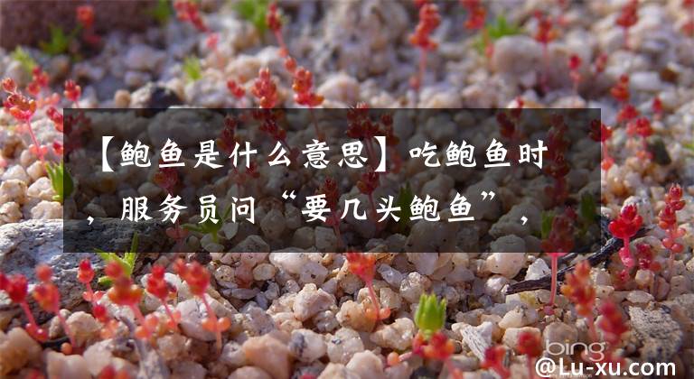 【鲍鱼是什么意思】吃鲍鱼时，服务员问“要几头鲍鱼”，建议弄明白再答，避免闹笑话