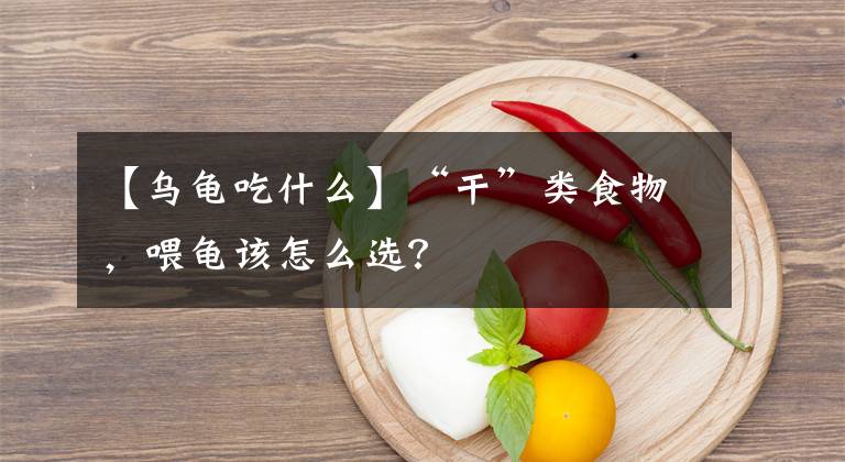 【乌龟吃什么】“干”类食物，喂龟该怎么选？