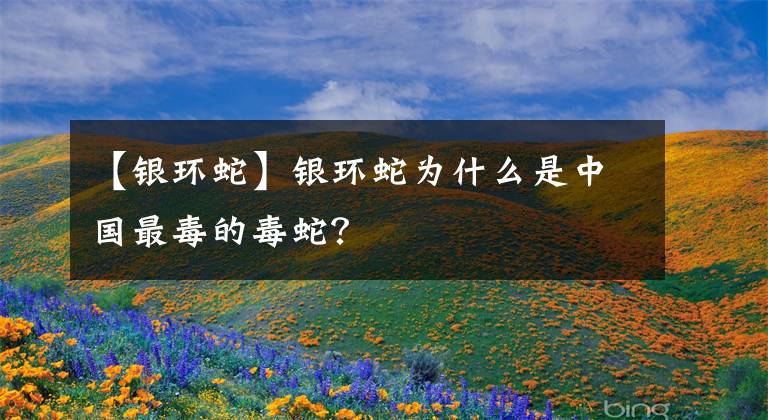 【银环蛇】银环蛇为什么是中国最毒的毒蛇？