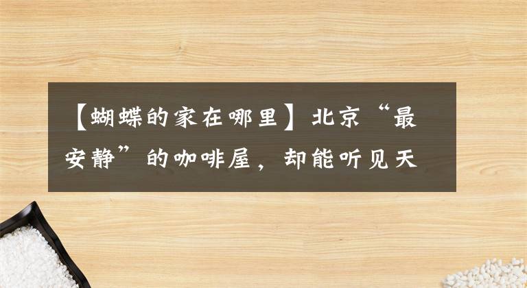 【蝴蝶的家在哪里】北京“最安静”的咖啡屋，却能听见天使的声音……