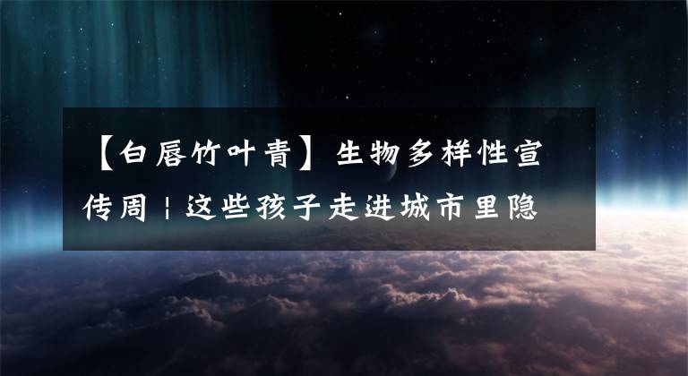 【白唇竹叶青】生物多样性宣传周 | 这些孩子走进城市里隐秘的“两爬世界”，直呼奇妙！