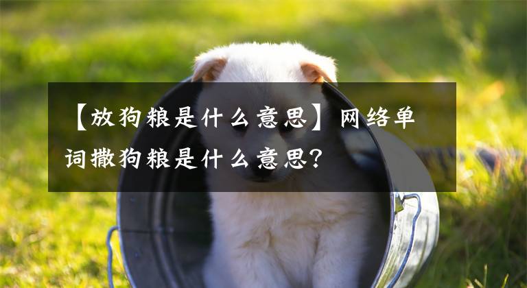 【放狗粮是什么意思】网络单词撒狗粮是什么意思？