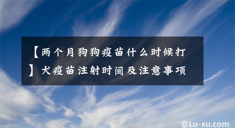 【两个月狗狗疫苗什么时候打】犬疫苗注射时间及注意事项