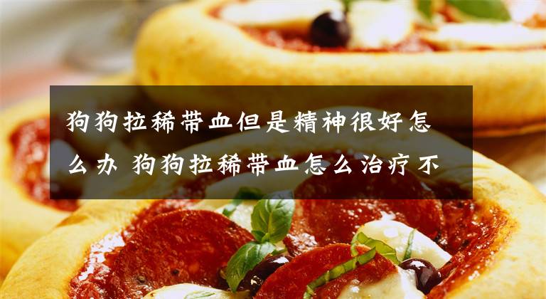 狗狗拉稀带血但是精神很好怎么办 狗狗拉稀带血怎么治疗不吃没精神