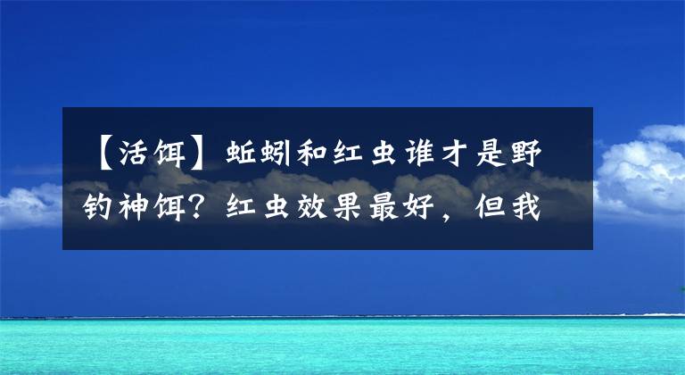 【活饵】蚯蚓和红虫谁才是野钓神饵？红虫效果最好，但我选蚯蚓
