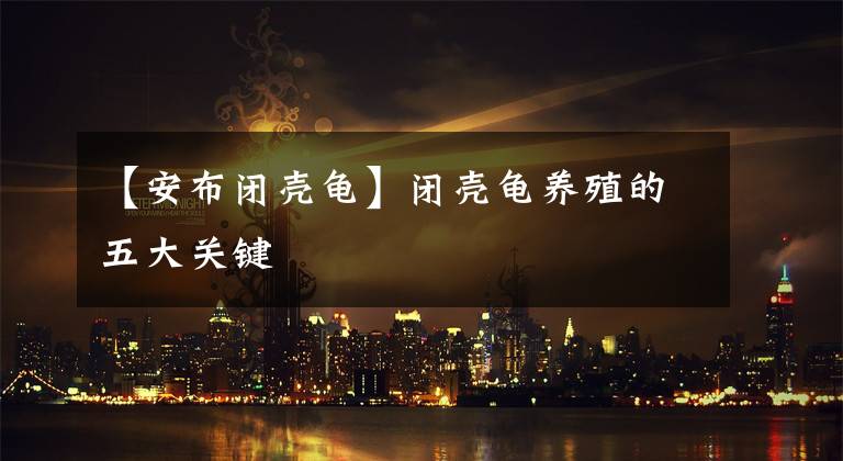 【安布闭壳龟】闭壳龟养殖的五大关键