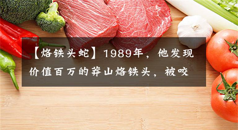 【烙铁头蛇】1989年，他发现价值百万的莽山烙铁头，被咬20多次，如今生活怎样