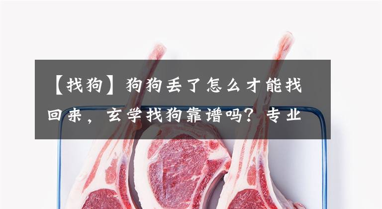 【找狗】狗狗丢了怎么才能找回来，玄学找狗靠谱吗？专业找猫找狗怎么样
