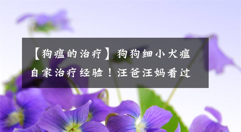 【狗瘟的治疗】狗狗细小犬瘟自家治疗经验！汪爸汪妈看过来