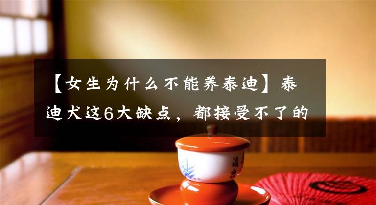 【女生为什么不能养泰迪】泰迪犬这6大缺点，都接受不了的，劝你别养