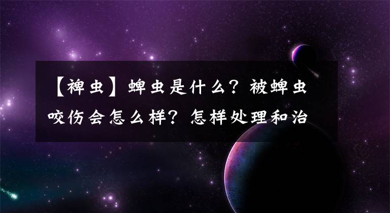 【裨虫】蜱虫是什么？被蜱虫咬伤会怎么样？怎样处理和治疗呢