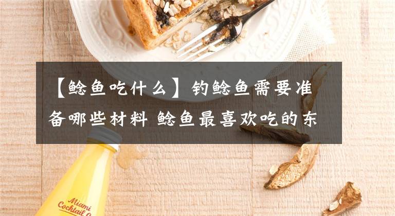 【鲶鱼吃什么】钓鲶鱼需要准备哪些材料 鲶鱼最喜欢吃的东西 鲶鱼的最爱
