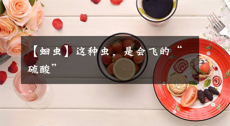 【蛔虫】这种虫，是会飞的“硫酸”