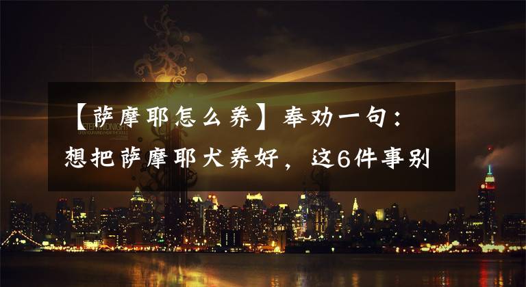 【萨摩耶怎么养】奉劝一句：想把萨摩耶犬养好，这6件事别漏做