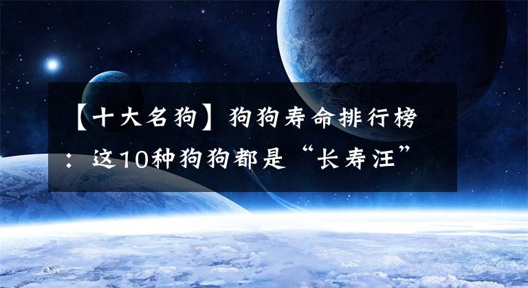 【十大名狗】狗狗寿命排行榜：这10种狗狗都是“长寿汪”，你家狗子排第几？