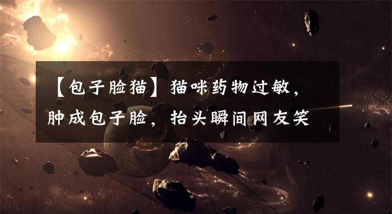 【包子脸猫】猫咪药物过敏，肿成包子脸，抬头瞬间网友笑喷了