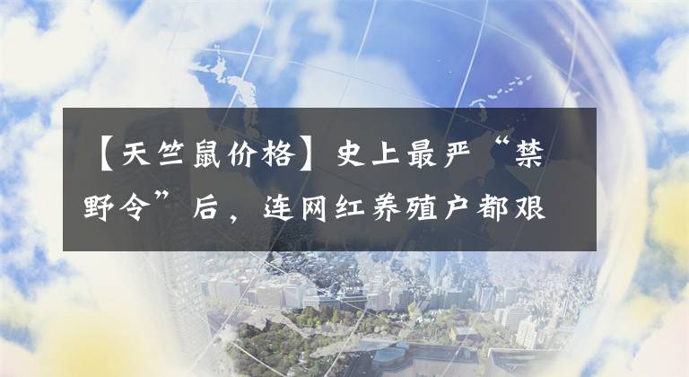 【天竺鼠价格】史上最严“禁野令”后，连网红养殖户都艰难维生，弹幕全哭了