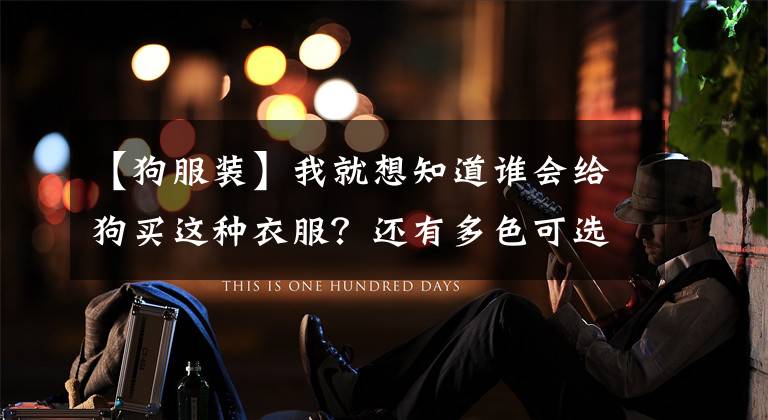 【狗服装】我就想知道谁会给狗买这种衣服？还有多色可选