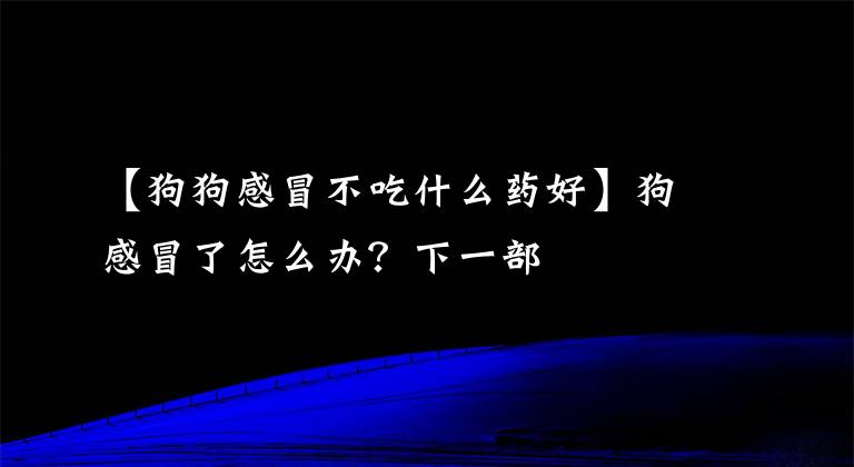 【狗狗感冒不吃什么药好】狗感冒了怎么办？下一部