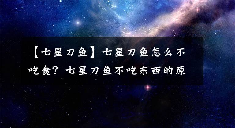 【七星刀鱼】七星刀鱼怎么不吃食？七星刀鱼不吃东西的原因及解决方法介绍！