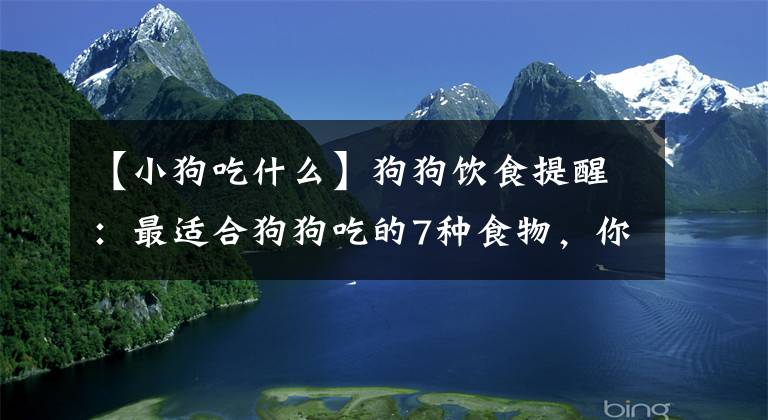 【小狗吃什么】狗狗饮食提醒：最适合狗狗吃的7种食物，你喂过几种？
