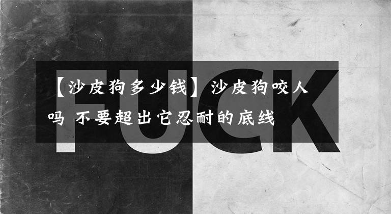 【沙皮狗多少钱】沙皮狗咬人吗 不要超出它忍耐的底线