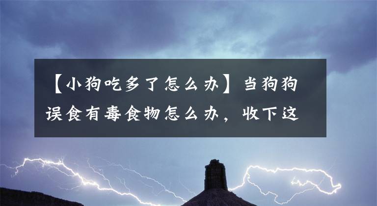 【小狗吃多了怎么办】当狗狗误食有毒食物怎么办，收下这篇急救贴士，让您不再束手无策