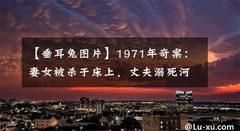 【垂耳兔图片】1971年奇案：妻女被杀于床上，丈夫溺死河中，一只兔子成破案关键