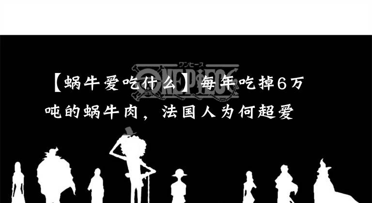 【蜗牛爱吃什么】每年吃掉6万吨的蜗牛肉，法国人为何超爱吃一只大蜗牛？