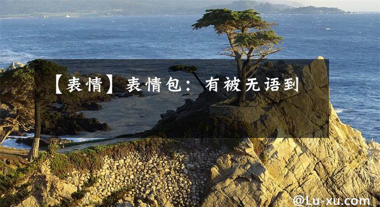 【表情】表情包：有被无语到