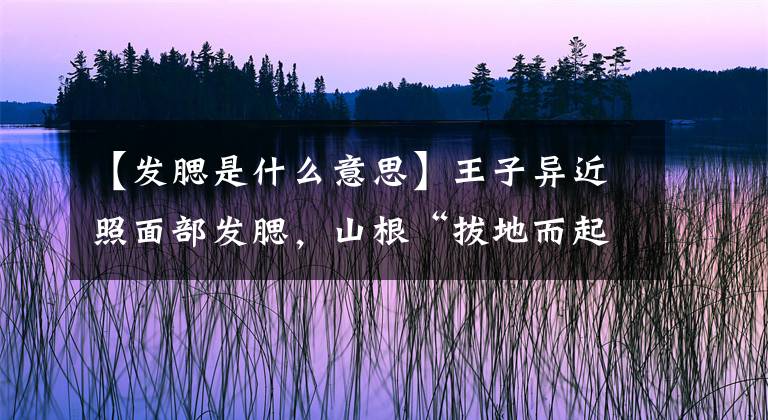 【发腮是什么意思】王子异近照面部发腮，山根“拔地而起”，网友直呼没眼看