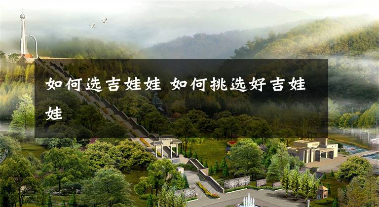 如何选吉娃娃 如何挑选好吉娃娃