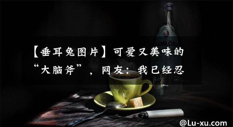 【垂耳兔图片】可爱又美味的“大脑斧”，网友：我已经忍不住喊我妈了