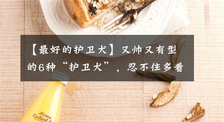 【最好的护卫犬】又帅又有型的6种“护卫犬”，忍不住多看一眼