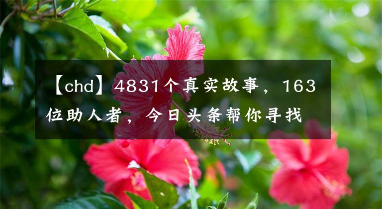 【chd】4831个真实故事，163位助人者，今日头条帮你寻找好心人