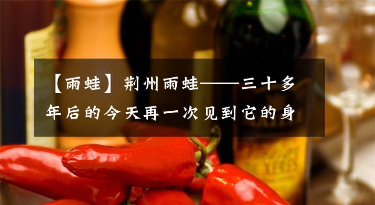 【雨蛙】荆州雨蛙——三十多年后的今天再一次见到它的身影！