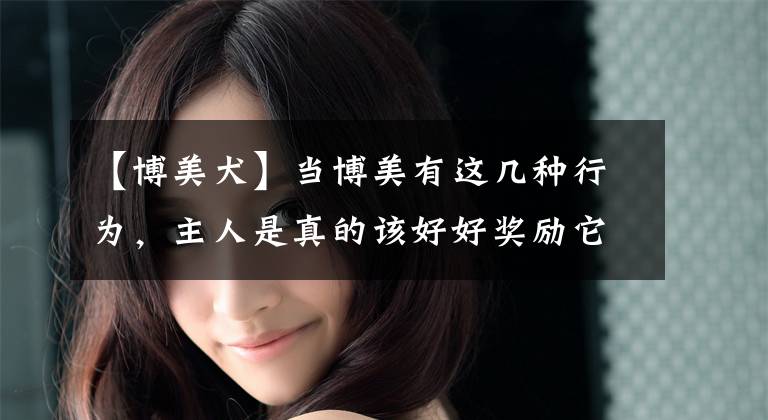 【博美犬】当博美有这几种行为，主人是真的该好好奖励它