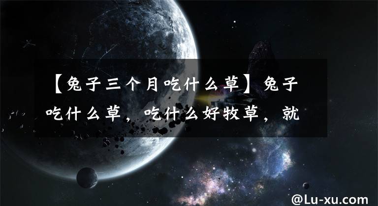 【兔子三个月吃什么草】兔子吃什么草，吃什么好牧草，就可以无限制地喂它。